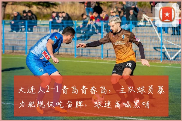 大连人2-1青岛青春岛，主队球员暴力犯规仅吃黄牌，球迷高喊黑哨