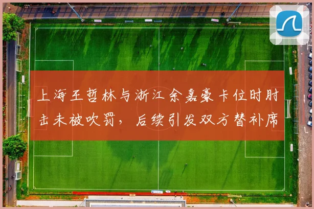上海王哲林与浙江余嘉豪卡位时肘击未被吹罚，后续引发双方替补席对峙，判罚尺度是否双标？